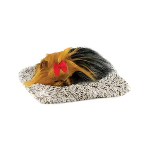 Mini Yorkie Perfect Petzzz