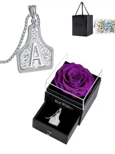 26 Letters Cowboy Style CZ Birthstone Necklace Alphabet Necklaces A-Z letter copper pendant with zirconia inlay.With purple preserved rose jewelry gift box.Ideal gift for birthdays, Mother’s Day and Valentine’s Day.