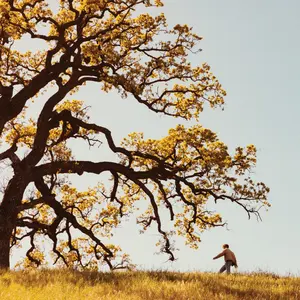 Joshua Bassett - The Golden Years  [COMPACT DISC - CD]