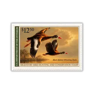 Black Bellied Whistling Duck Vintage Stamp Poster, Migratory Bird Hunting Conservation Wall Art Print, Classic Wildlife Sunset Duck Illustration for Cabin Lodge Home Office Decor