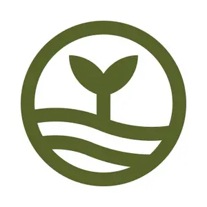 background preload poster image 