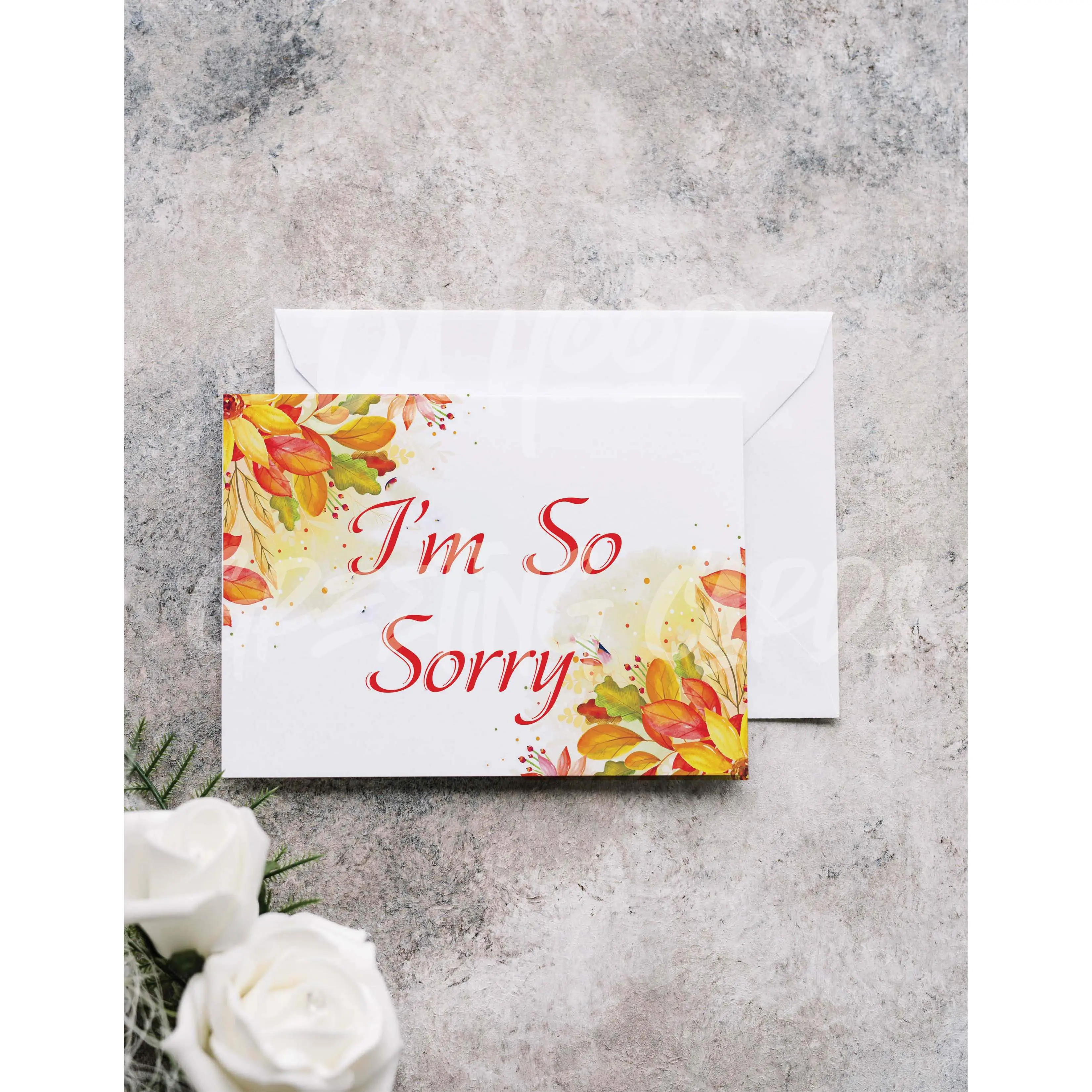 I'm Sorry Card