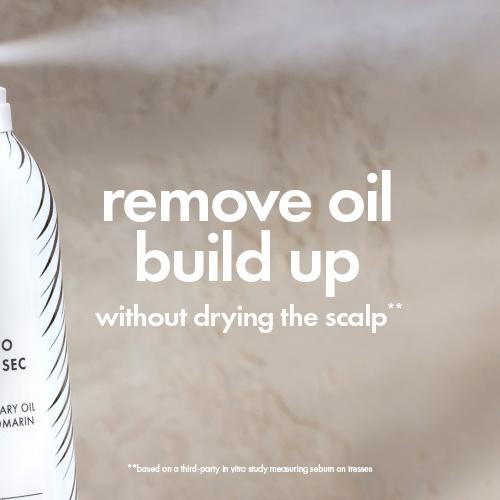 HG Dry Shampoo Two-Pack