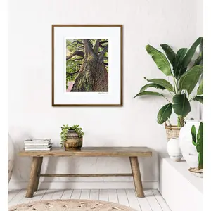 “Grounded” Giclée Fine Art Print 8x10in or 4x5in