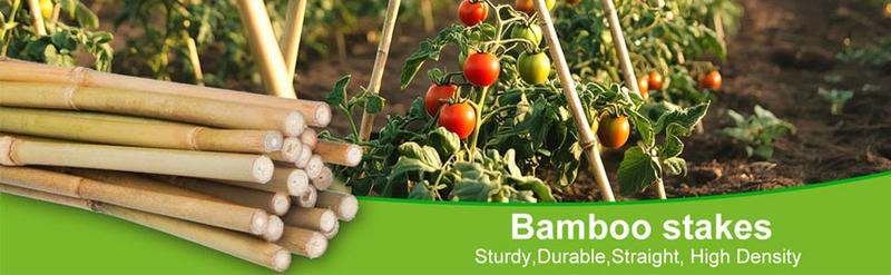 2FT-6FT Natural Bamboo Plant Stakes, Garden Support for Tomatoes & Flowers