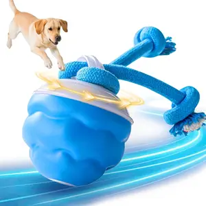Interactive Dog Toys with Motion Activated, Squeaky Dog Toy Active Rolling Ball, Ball for Daily Training,Used for small dogs and cats , pet accessories, cute pet toys(2.95*2.95*4.33inch)