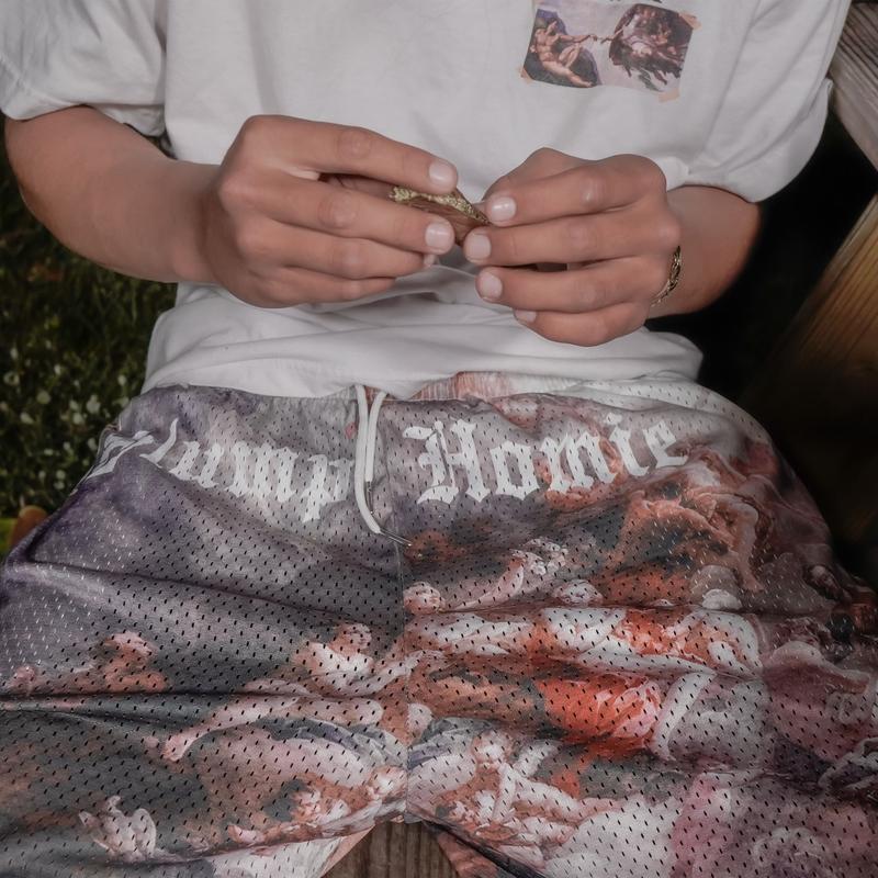 Heavenly Haze Mesh Shorts