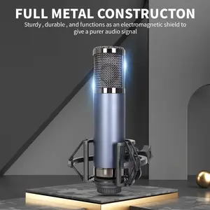 F22 Professional Studio Microphone, Large Diaphragm Condenser Mic, Noise Reduction Mic, Blue and Design, XLR Connector, Handheld, for Singing, Recording, Computer