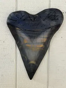 Megalodon Shark Tooth