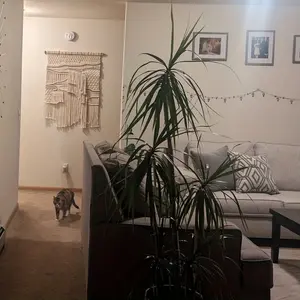 1pc Large Boho Macrame Wall Hanging - Abstract Geometric Pattern, Beige/White/Black/Gray/Blue/Orange/Red/ - Indoor Macrame Tapestry Decor for Living Room, Bedroom, Office - Easy Hang Installation - Modern Farmhouse, Bohemian, Minimalist Hom