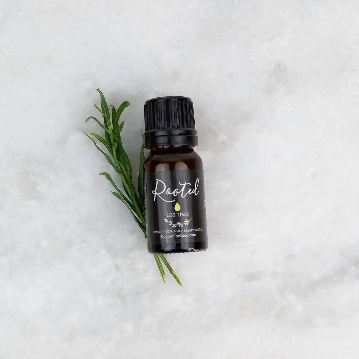 Tea Tree Essential Oil
