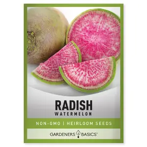 Watermelon Radish Seeds