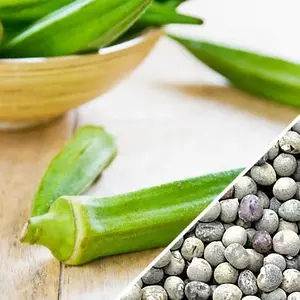 Clemson Spineless Okra Seeds Non-GMO Heirloom