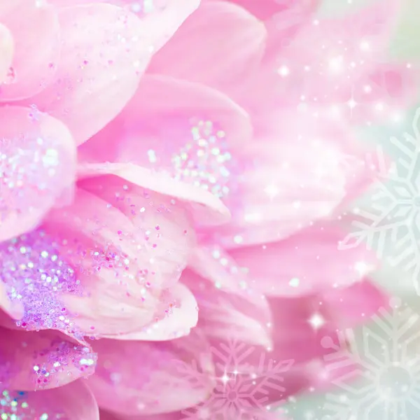 Snow Fairy - Premium Fragrance Oil