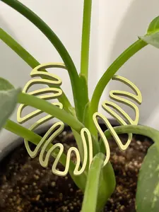Monstera Stem Support | 3D Printed Houseplant Trellis | Plant Holder