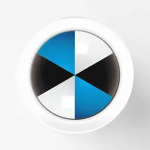 Toronto OG - Hand Split - Sakura Solid Paint Marker