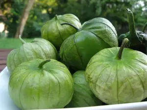 Tomatillo Verde - 100+ seeds