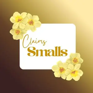 Small Claims Small Claims