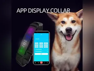 LED Display Pet Collar App Control