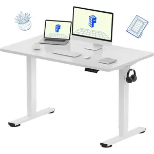 FLEXISPOT EN1 One-Piece Standing Desk, 48 x 24 Inches Electric Height Adjustable Desk for Home Office (White Frame + White Desktop)