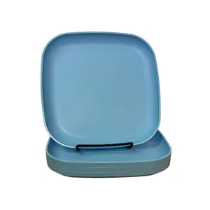 Tupperware Square Luncheon Plates