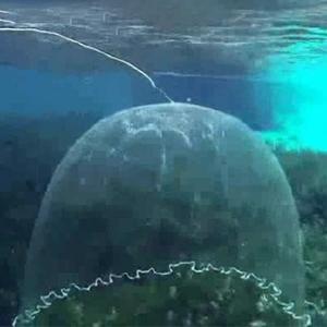 Hand Cast Strong Nylon Cast Net , 3/8 Inch Mesh Size Throw Cast Net 6Ft Radius with Real Metal Sinker, Saltwater Freshwater Casting Net for Bait Trap Fish, Premium Monofilament Nylon Net