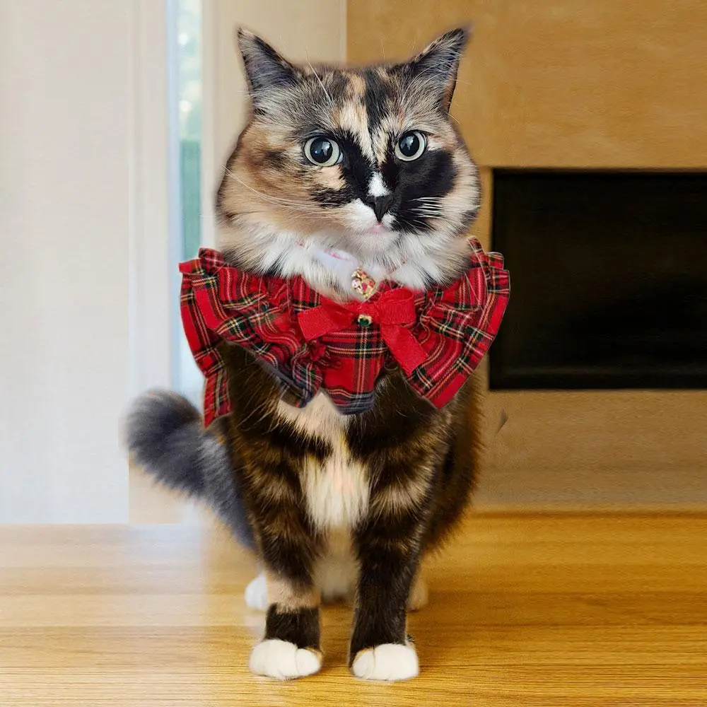 Red Plaid Dress for Dogs & Cats | Pumpkin’s Checkered Past | Cute Korean Pet Clothes