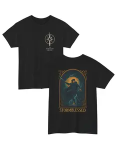 Kaladin Stormblessed Shirt, Stormlight Archive Tee, Way of Kings Fantasy T-Shirt, Cosmere Bookish Merch, Gift for Brandon Sanderson Fans