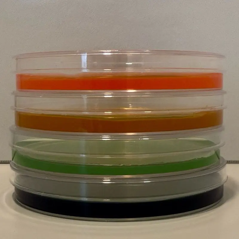 4 pack media filled Petri dishes