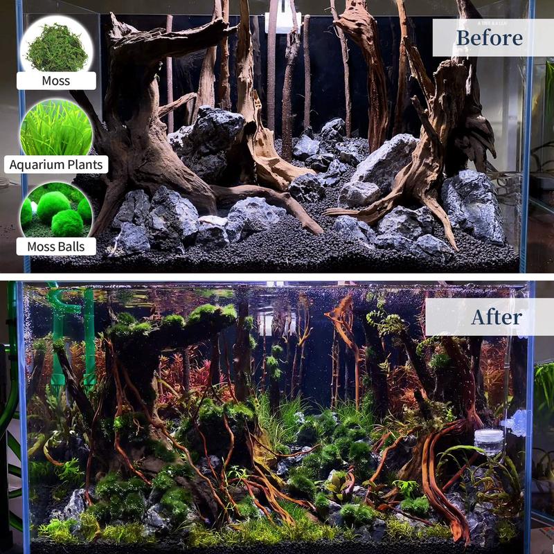 3-Piece Natural Coral Driftwood for Aquarium Decor, 6-10 inch Fish Tank & Reptile Decoration Branches