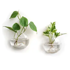 Wall Hanging Glass Terrariums Planter Oblate Flower Vase for Hydroponics Plants, Bathroom, Home Office Living Room Decor, Set of 2