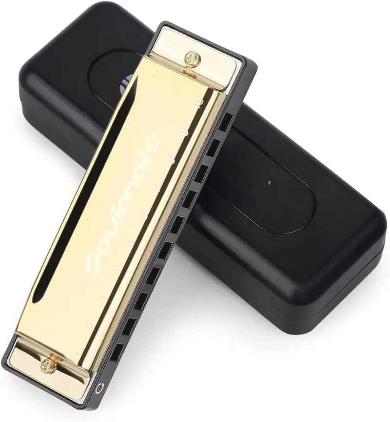 Blues Harmonica Mouth Organ 10 Hole 20  C Key with Case Diatonic Harmonica for StudentsBeginner, Professional Player, Adult, Friends,