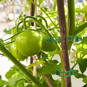 300 Pack Garden Plant Clips Plastic Vine Tie Clips Branch Holder Hanging Vine Support Tomato Vine Fixing Clip Climbing Vegetable Plant