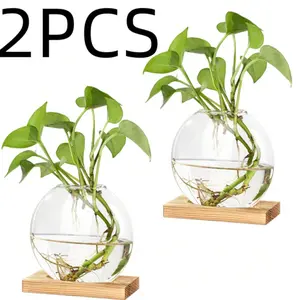 2pcs Propagation Vases for Plants, Glass Terrarium Planter with Wooden Stand, Clear Oblate Hydroponic Vase, Propagated Plant Jars for Plants, Flower, Home Office Desktop Decor