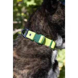 Mossy Pine Waterproof Dog Collar
