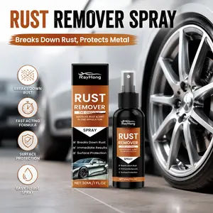 Rust Remover Spray Fast Acting Rust Dissolver Metal Surface Cleaner Anti Rust Protection for Car Wheels Tools Hardware DIY Auto Maintenance