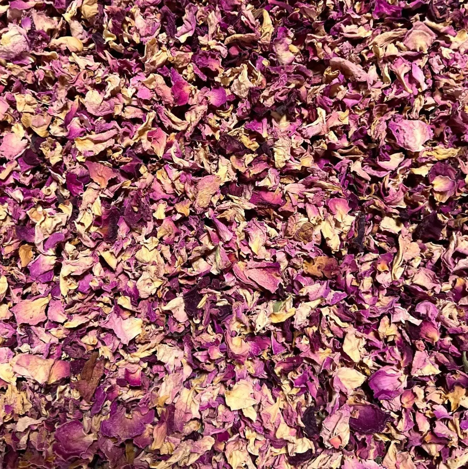Rose Petals Rose Petals