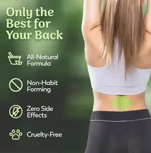 Lower Back Pain Relief & Relaxation Herbal Heat Patches, 30 Count Value Box, Soothing Warm Lumbar Support, Disposable Ice Body Care, Hypoallergenic, Perfect for Office Workers, Drivers, Athletes & Active Adults spine multi-use bone knee daily long-lasting