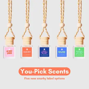Car Diffuser | You Choose Fragrances | 20+ Scent Options | Air Freshener | Cute Gift Idea | Car Accessories | Snarky Funny