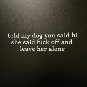 Funny Car Decal – “Told My Dog You Said Hi” response – Durable Waterproof Vinyl Sticker for Car Windows (Dog and Cat versions)