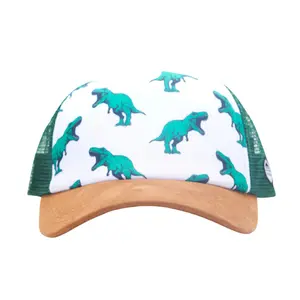 Green Dinosaur Cap