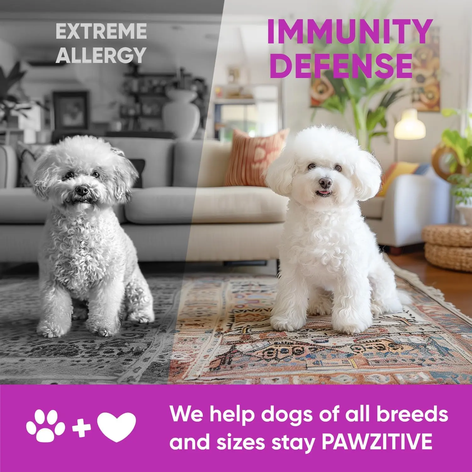 Pawzitive Pets Dog Allergy Relief Chews for Itchy Skin, Paw Licking ...