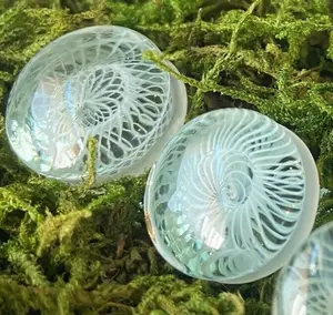 PAIR of Beautiful White Spiral Weave Design Pyrex Glass Single Flare Plugs with O-Rings - Gauges 2g (6mm) through 5/8" (16mm)