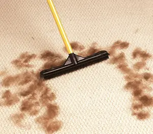 Pet Hair Cleaning Broom