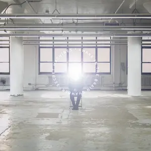 Secret Machines - Awake In The Brain Chamber  [VINYL RECORD - LP] 180 Gram