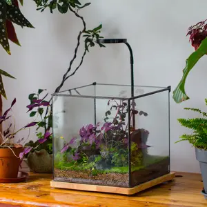 Handmade 10'' Cube Closed Glass Tin Terrarium with Top Open Lid, for Plants, Moss, Fern Landscape (Terrarium Only) Room Decor Decoration