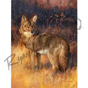"Rabbit Rustler" Coyote Hunting Canvas Art Print