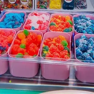 Gusher Variety Snack Tray Sweet /Sour Assorted Gift  Candy Combo Tray