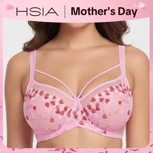 HSIA Renna Valentine's Day Embroidery Sheer Mesh Lightweight Lift Underwire Bra Comfort Fit