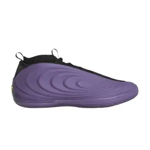 adidas Harden Vol. 10 'Matte Purple'